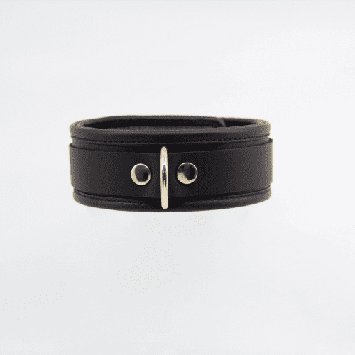 Col048 Leather Collar With Coloured Hardware Gold - Club X